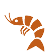 A red crawfish